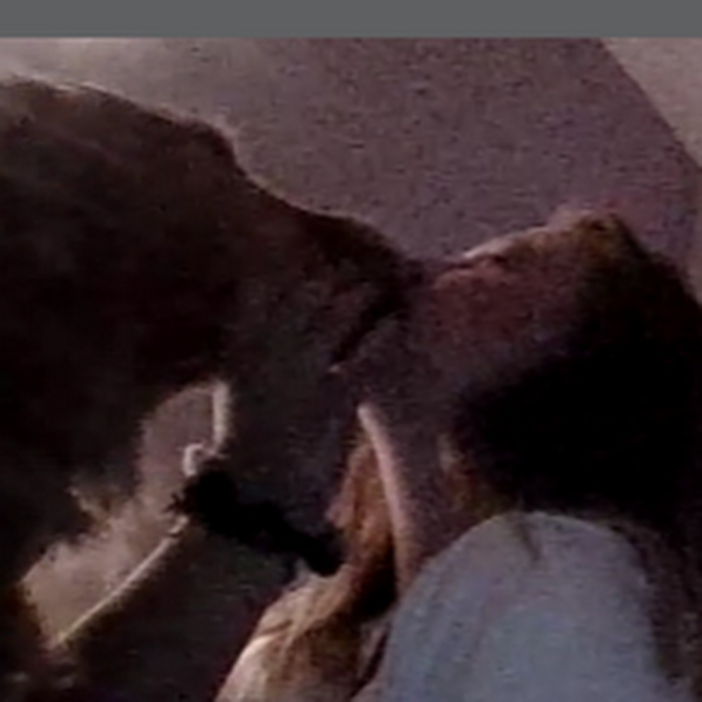 Meet your Posher, Nevaeh